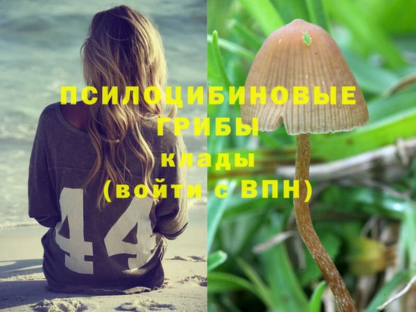 спиды Беломорск