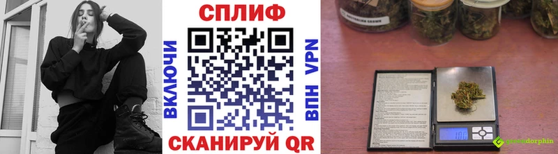 Бошки марихуана AK-47  Купить закладки  Астрахань 